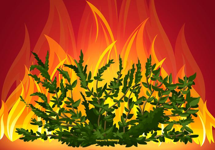 vector-burning-bush-illustration